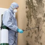 Our Sewage Cleanup Services: A Comprehensive Overview